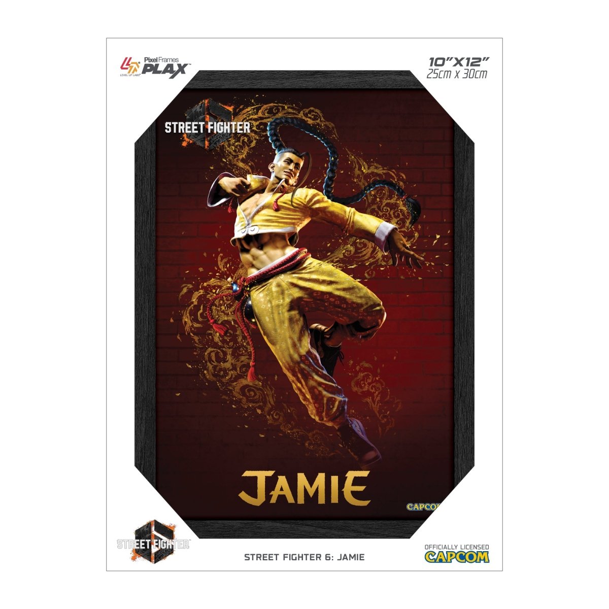 Street Fighter 6 Jamie Plax lenticular frame 3D wall art officially licensed 10"x12" inch (23x30cm) | Pixel Frames