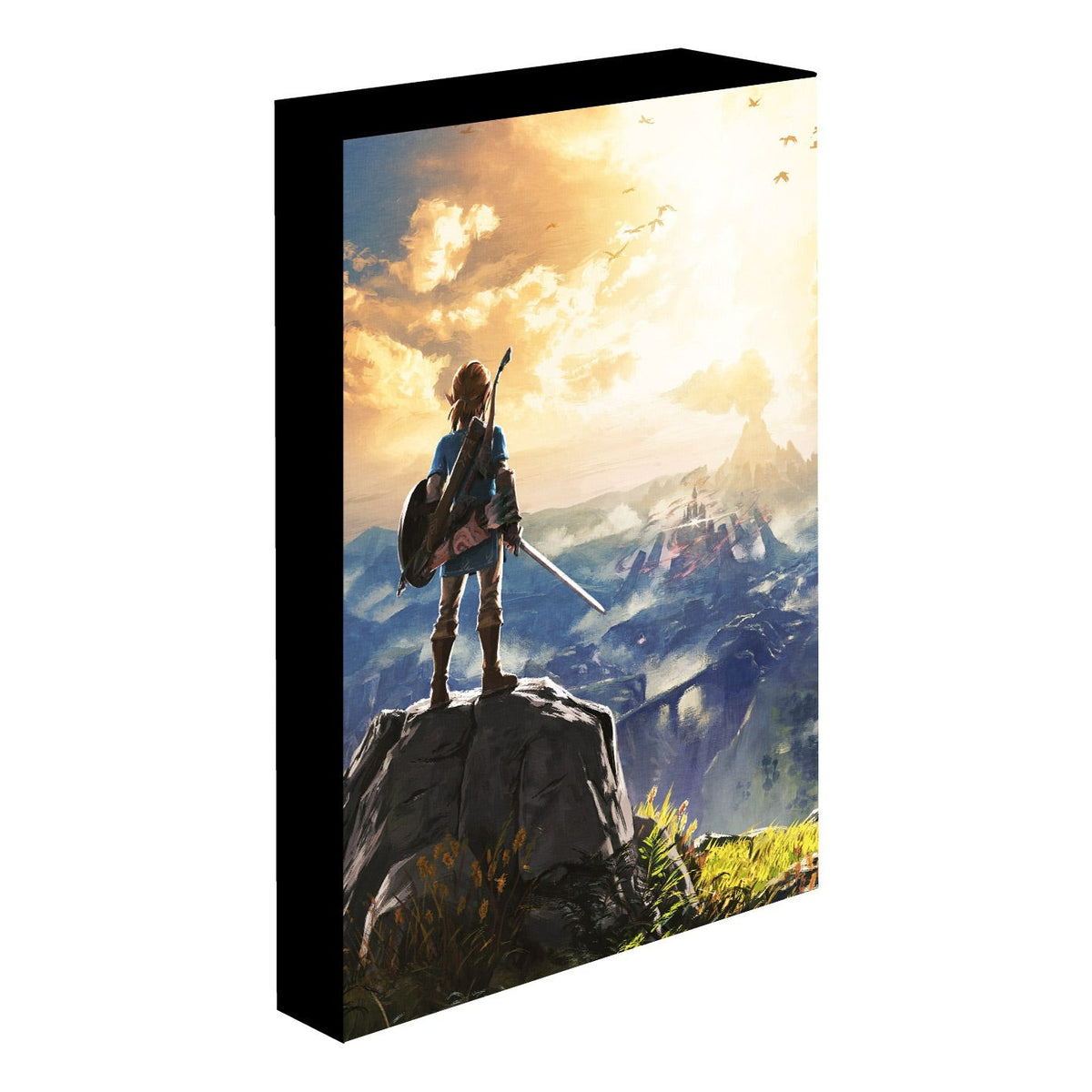 The Legend of Zelda Into the Wilds light up canvas wall art 30 x 40cm | Pyramid