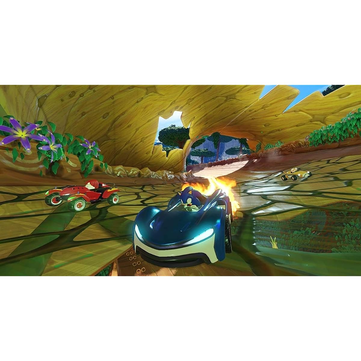 Team Sonic Racing for PlayStation 4 | Sega