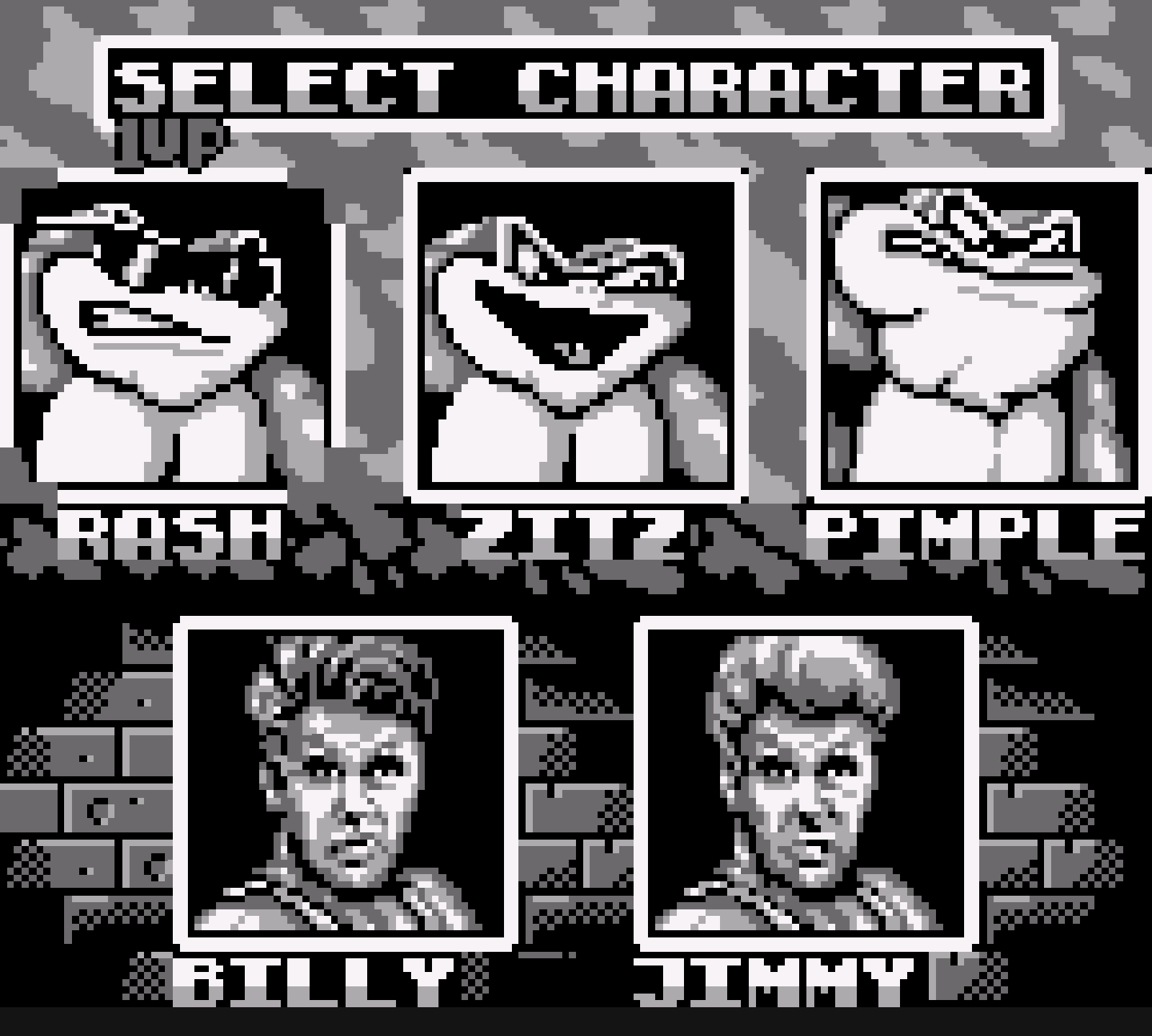 Battle toads Double Dragon Collector's Edition for Nintendo Game Boy [PRE-ORDER] | Retro-bit publishing