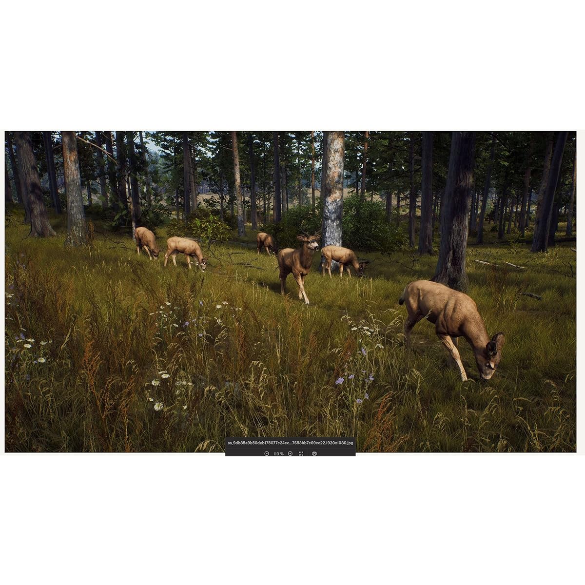 Way of the Hunter for PlayStation 5 | THQ Nordic