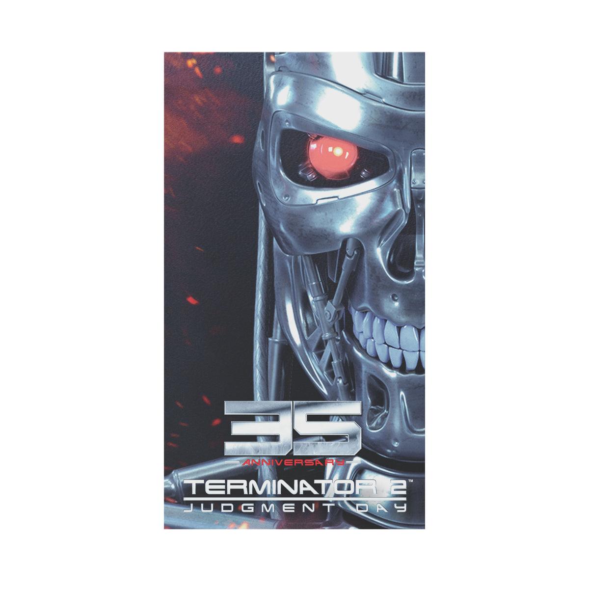 Terminator 2 VHS cassette style Cartridge Game Case for Nintendo Switch limited edition | Retro Fighters