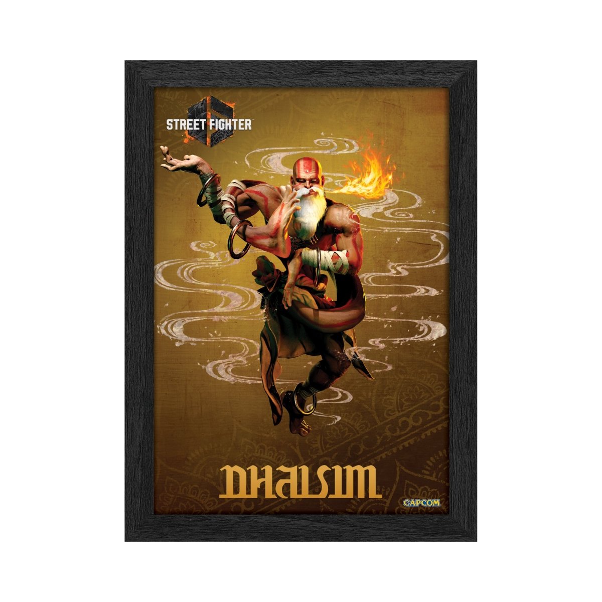 Streen Fighter 6 Dhalsim lenticular frame art officially licensed 10x12 ...