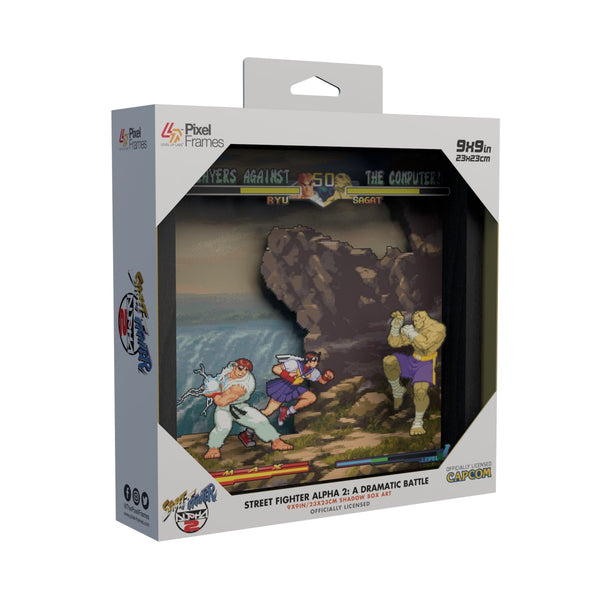 Street Fighter Alpha 2 shadow box art officially licensed 9x9 inch