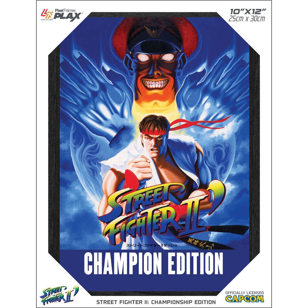 Street Fighter Poster Cover Frame Street Fighter Poster Cover Frame