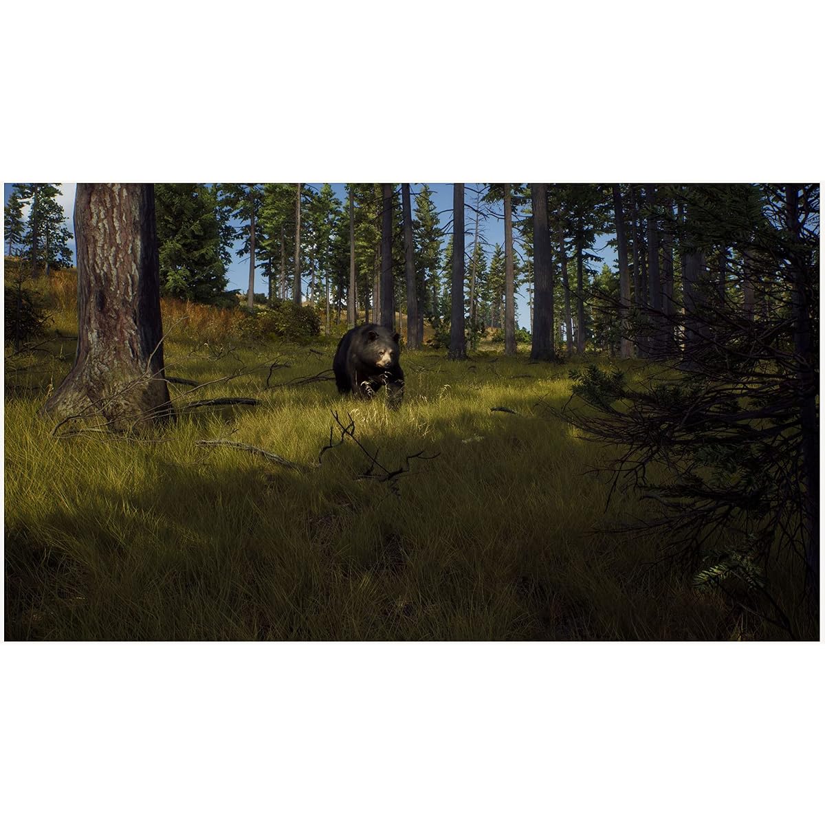 Way of the Hunter for PlayStation 5 | THQ Nordic