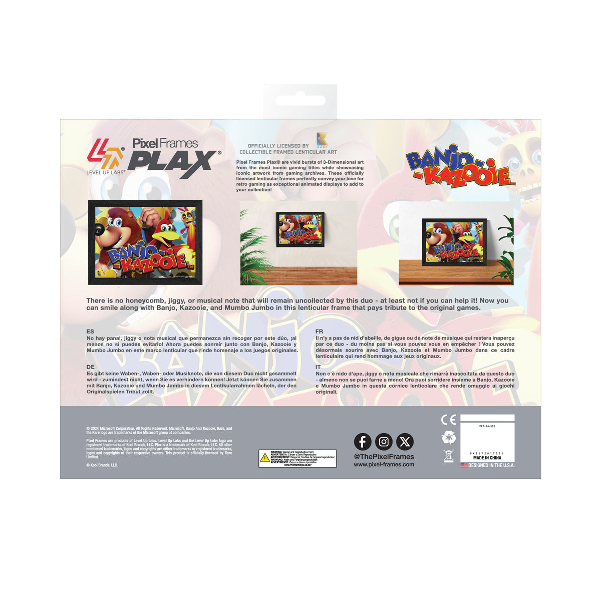 Banjo-Kazooie Dynamic Duo Plax lenticular frame wall art officially licensed 10"x12" inch (25x30cm) | Pixel Frames